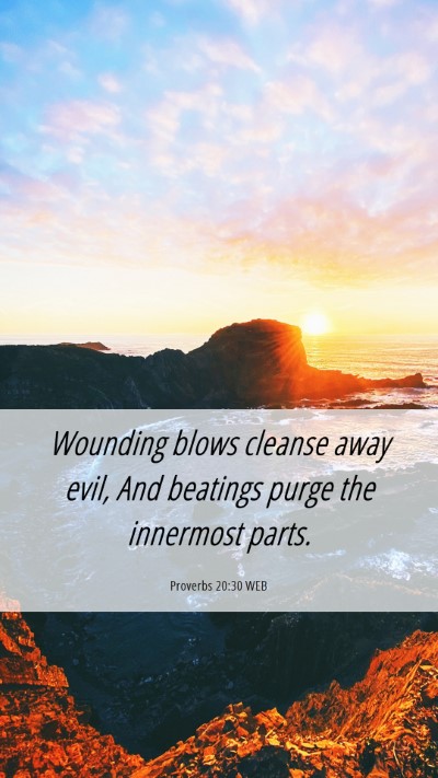 Picture 06 - Proverbs 20:30 WEB Mobile Phone Wallpaper - Wounding blows cleanse away evil, And beatings - Mobile Bible Verse Wallpaper