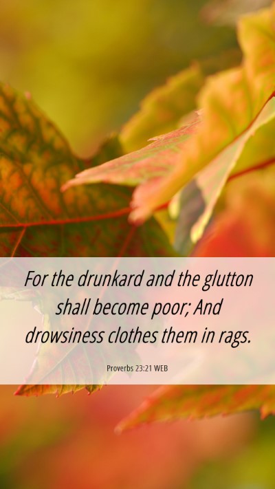 Picture 06 - Proverbs 23:21 WEB Mobile Phone Wallpaper - For the drunkard and the glutton shall become - Mobile Bible Verse Wallpaper