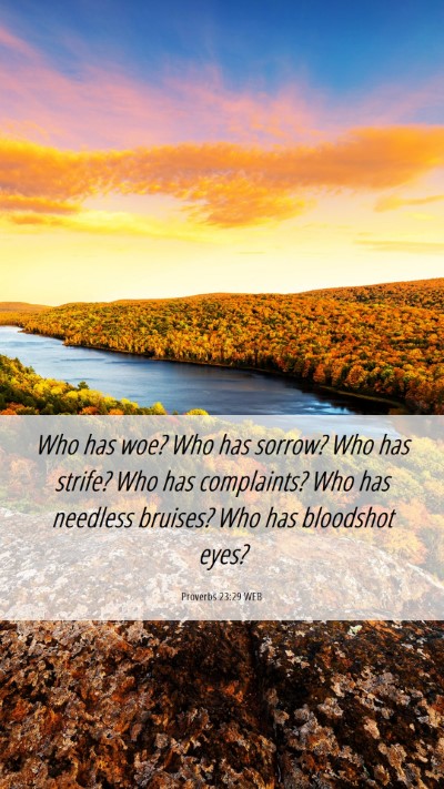 Picture 06 - Proverbs 23:29 WEB Mobile Phone Wallpaper - Who has woe? Who has sorrow? Who has strife? Who - Mobile Bible Verse Wallpaper