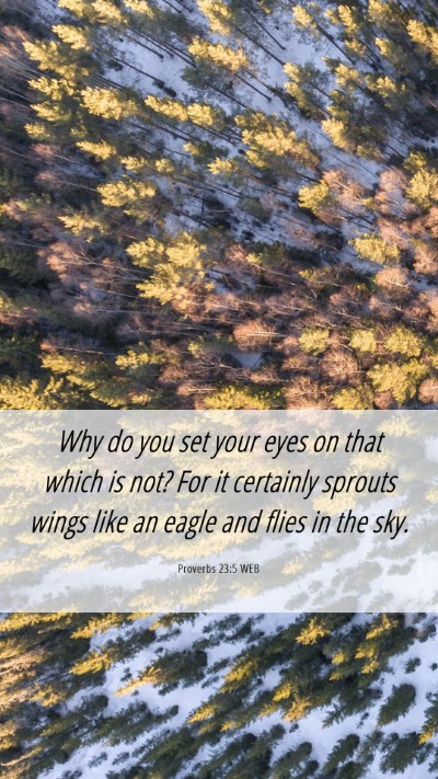 Picture 06 - Proverbs 23:5 WEB Mobile Phone Wallpaper - Why do you set your eyes on that which is not? - Mobile Bible Verse Wallpaper