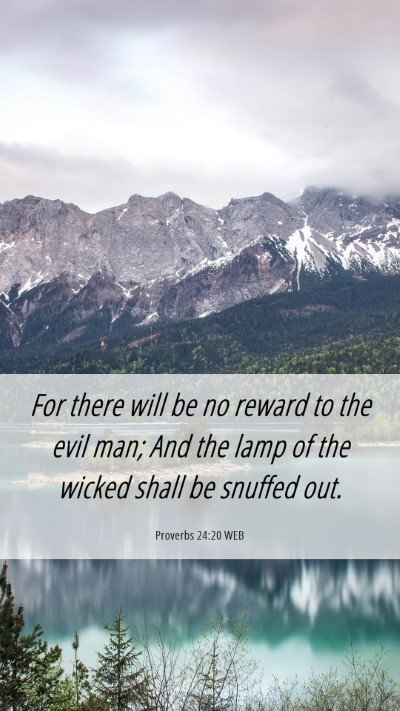 Picture 06 - Proverbs 24:20 WEB Mobile Phone Wallpaper - For there will be no reward to the evil man; And - Mobile Bible Verse Wallpaper