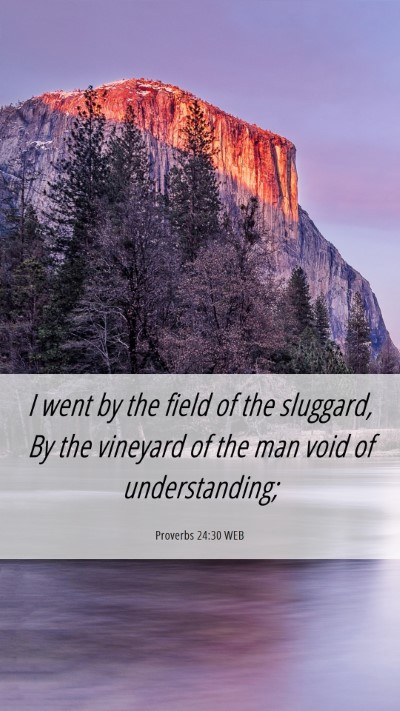 Picture 06 - Proverbs 24:30 WEB Mobile Phone Wallpaper - I went by the field of the sluggard, By the - Mobile Bible Verse Wallpaper
