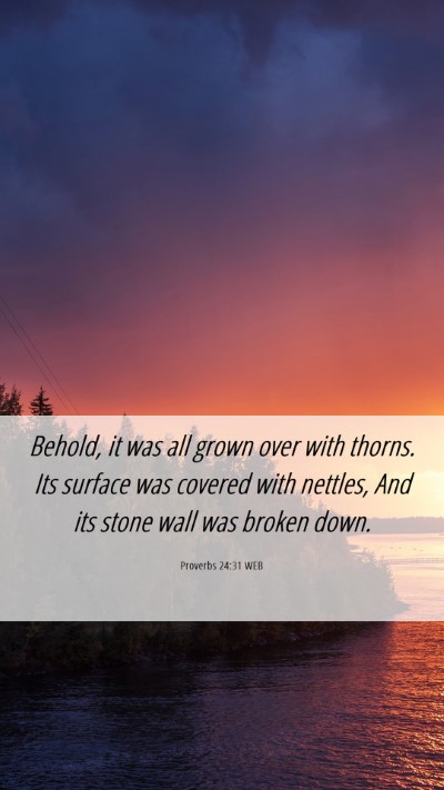 Picture 06 - Proverbs 24:31 WEB Mobile Phone Wallpaper - Behold, it was all grown over with thorns. Its - Mobile Bible Verse Wallpaper