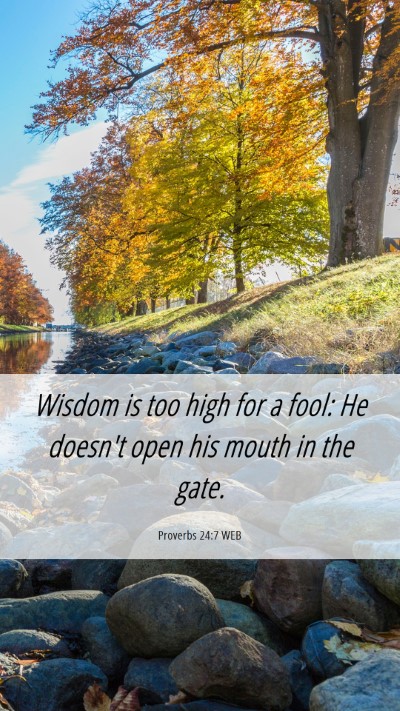 Picture 06 - Proverbs 24:7 WEB Mobile Phone Wallpaper - Wisdom is too high for a fool: He doesn't open - Mobile Bible Verse Wallpaper