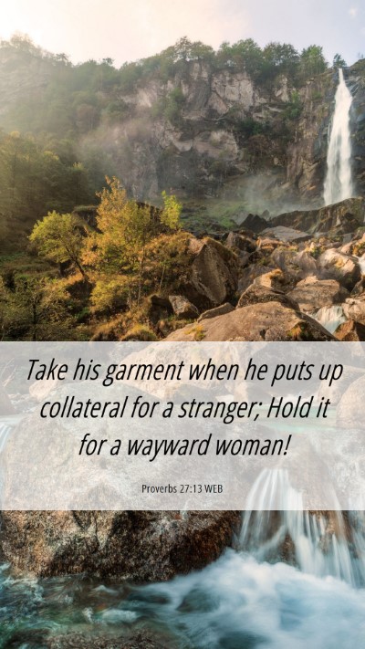 Picture 06 - Proverbs 27:13 WEB Mobile Phone Wallpaper - Take his garment when he puts up collateral for a - Mobile Bible Verse Wallpaper