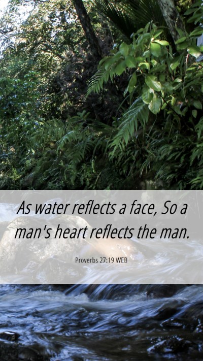 Picture 06 - Proverbs 27:19 WEB Mobile Phone Wallpaper - As water reflects a face, So a man's heart - Mobile Bible Verse Wallpaper