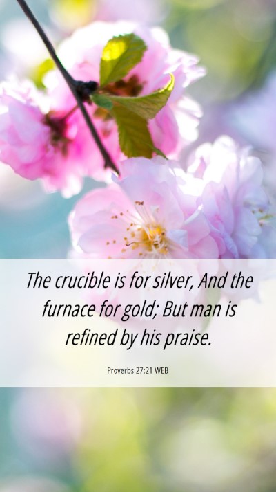 Picture 06 - Proverbs 27:21 WEB Mobile Phone Wallpaper - The crucible is for silver, And the furnace for - Mobile Bible Verse Wallpaper