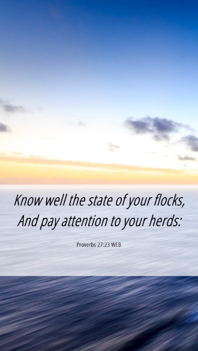 Picture 06 - Proverbs 27:23 WEB Mobile Phone Wallpaper - Know well the state of your flocks, And pay - Mobile Bible Verse Wallpaper