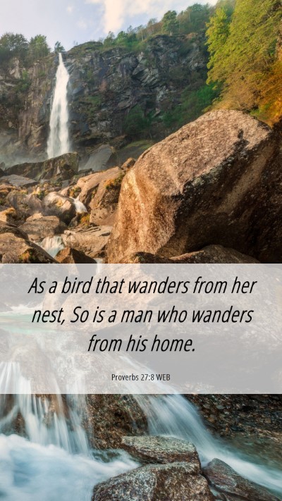 Picture 06 - Proverbs 27:8 WEB Mobile Phone Wallpaper - As a bird that wanders from her nest, So is a man - Mobile Bible Verse Wallpaper