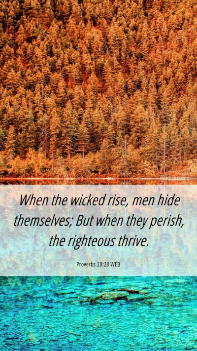 Picture 06 - Proverbs 28:28 WEB Mobile Phone Wallpaper - When the wicked rise, men hide themselves; But - Mobile Bible Verse Wallpaper