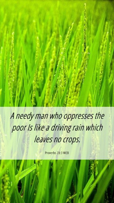 Picture 06 - Proverbs 28:3 WEB Mobile Phone Wallpaper - A needy man who oppresses the poor Is like a - Mobile Bible Verse Wallpaper
