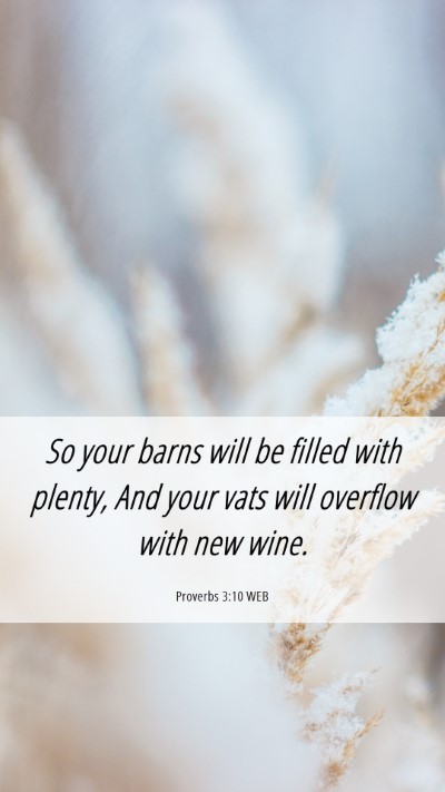 Picture 06 - Proverbs 3:10 WEB Mobile Phone Wallpaper - So your barns will be filled with plenty, And - Mobile Bible Verse Wallpaper