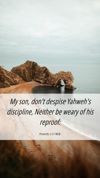 Picture 06 - Proverbs 3:11 WEB Mobile Phone Wallpaper - My son, don't despise Yahweh's discipline, - Mobile Bible Verse Wallpaper