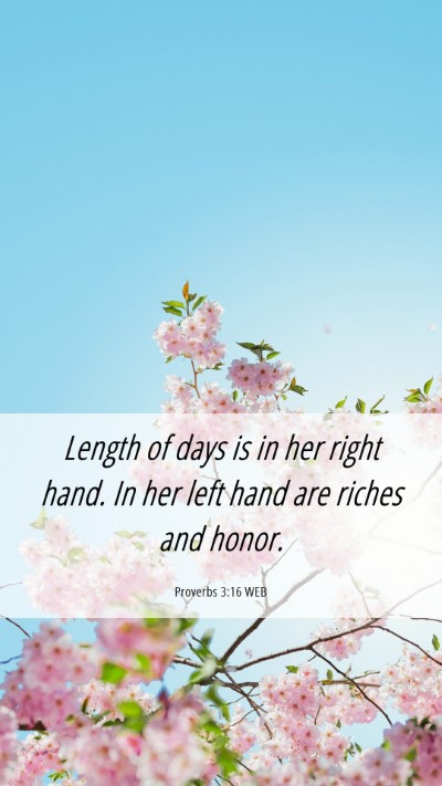 Picture 06 - Proverbs 3:16 WEB Mobile Phone Wallpaper - Length of days is in her right hand. In her left - Mobile Bible Verse Wallpaper