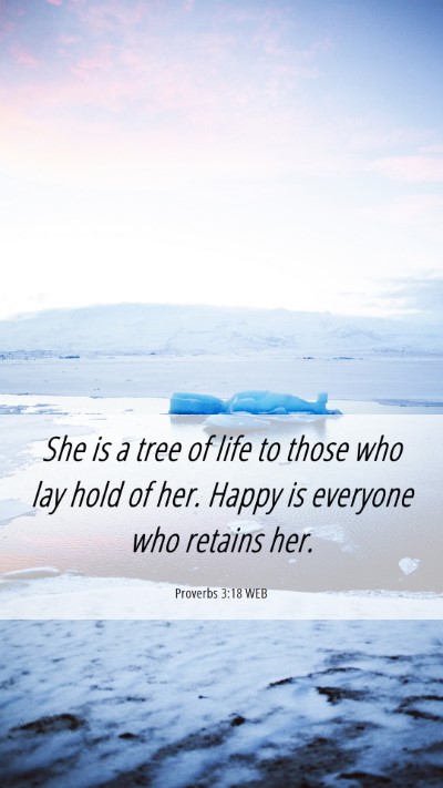 Picture 06 - Proverbs 3:18 WEB Mobile Phone Wallpaper - She is a tree of life to those who lay hold of - Mobile Bible Verse Wallpaper