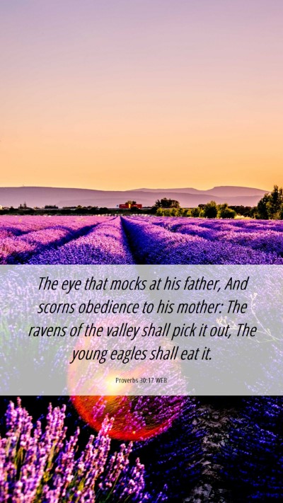 Picture 06 - Proverbs 30:17 WEB Mobile Phone Wallpaper - The eye that mocks at his father, And scorns - Mobile Bible Verse Wallpaper