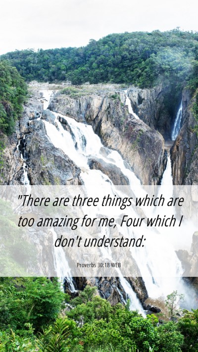 Picture 06 - Proverbs 30:18 WEB Mobile Phone Wallpaper - 