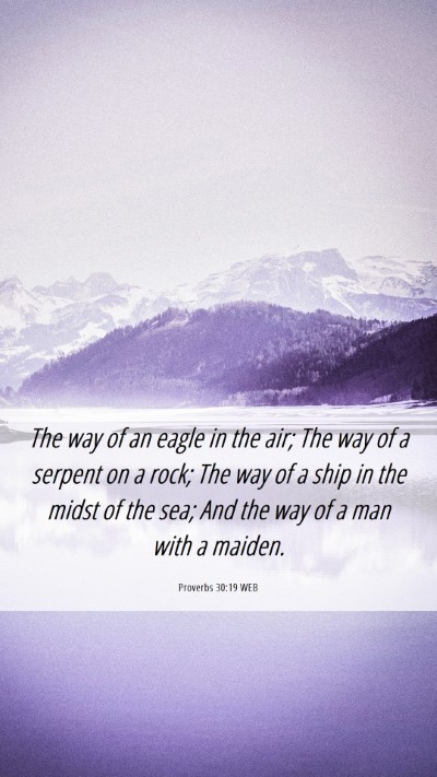 Picture 06 - Proverbs 30:19 WEB Mobile Phone Wallpaper - The way of an eagle in the air; The way of a - Mobile Bible Verse Wallpaper