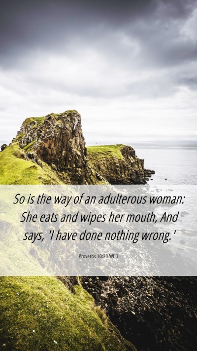Picture 06 - Proverbs 30:20 WEB Mobile Phone Wallpaper - So is the way of an adulterous woman: She eats - Mobile Bible Verse Wallpaper