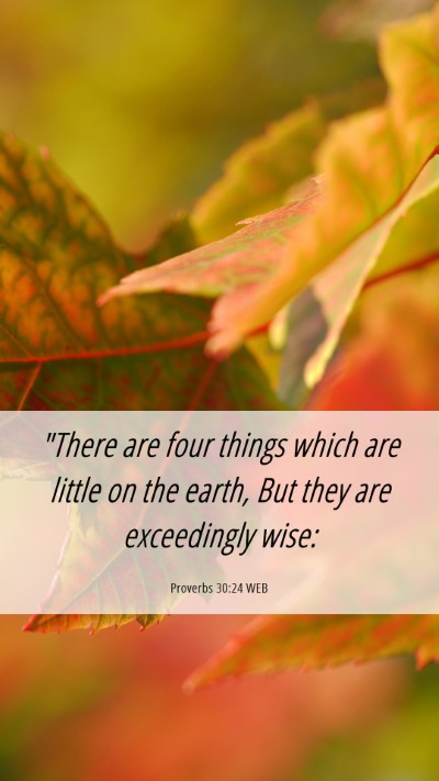 Picture 06 - Proverbs 30:24 WEB Mobile Phone Wallpaper - 