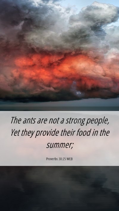 Picture 06 - Proverbs 30:25 WEB Mobile Phone Wallpaper - The ants are not a strong people, Yet they - Mobile Bible Verse Wallpaper