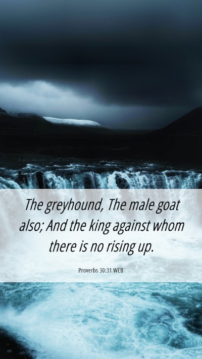 Picture 06 - Proverbs 30:31 WEB Mobile Phone Wallpaper - The greyhound, The male goat also; And the king - Mobile Bible Verse Wallpaper