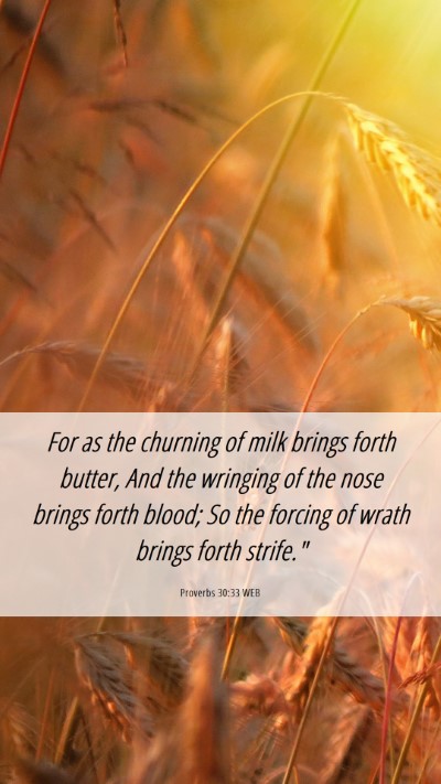 Picture 06 - Proverbs 30:33 WEB Mobile Phone Wallpaper - For as the churning of milk brings forth butter, - Mobile Bible Verse Wallpaper
