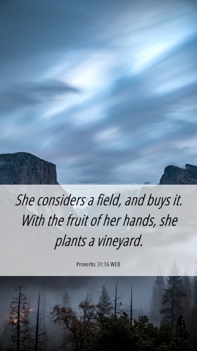 Picture 06 - Proverbs 31:16 WEB Mobile Phone Wallpaper - She considers a field, and buys it. With the - Mobile Bible Verse Wallpaper