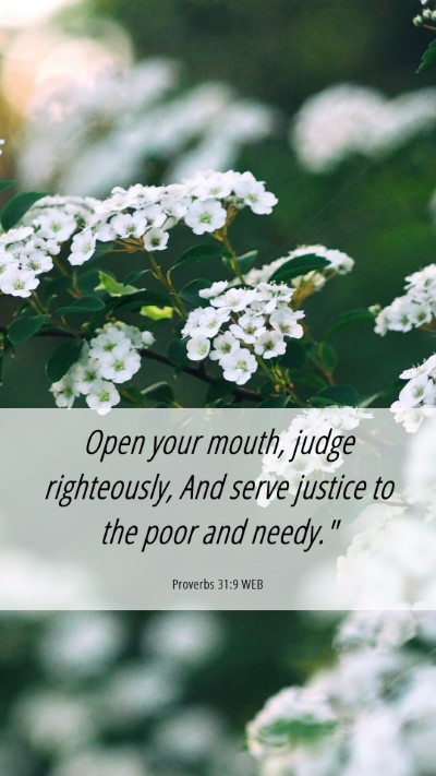 Picture 06 - Proverbs 31:9 WEB Mobile Phone Wallpaper - Open your mouth, judge righteously, And serve - Mobile Bible Verse Wallpaper