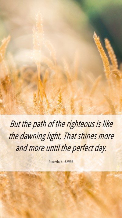 Picture 06 - Proverbs 4:18 WEB Mobile Phone Wallpaper - But the path of the righteous is like the dawning - Mobile Bible Verse Wallpaper