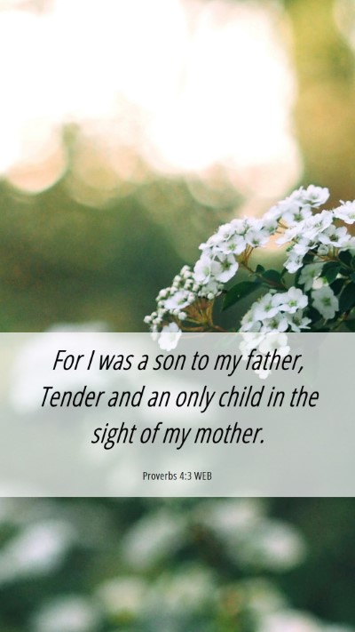 Picture 06 - Proverbs 4:3 WEB Mobile Phone Wallpaper - For I was a son to my father, Tender and an only - Mobile Bible Verse Wallpaper