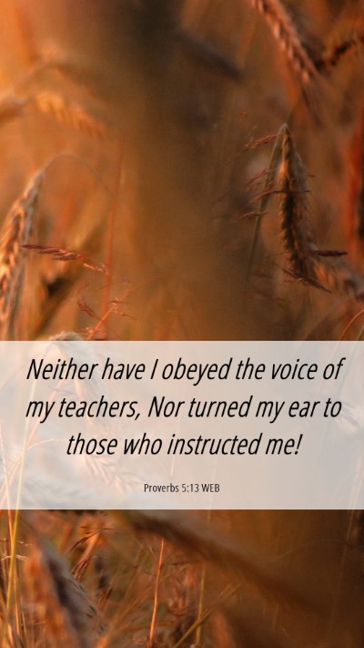 Picture 06 - Proverbs 5:13 WEB Mobile Phone Wallpaper - Neither have I obeyed the voice of my teachers, - Mobile Bible Verse Wallpaper