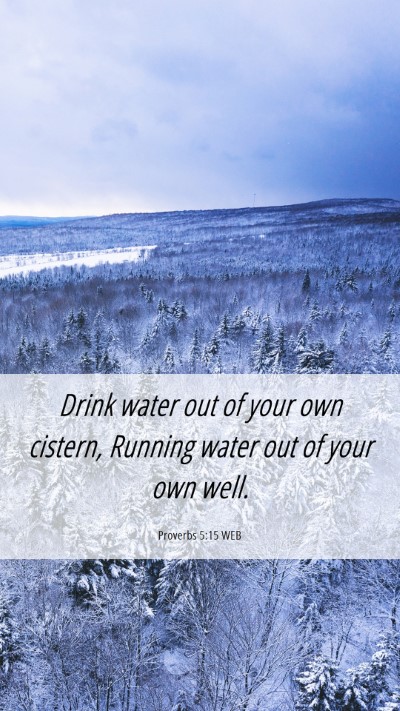 Picture 06 - Proverbs 5:15 WEB Mobile Phone Wallpaper - Drink water out of your own cistern, Running - Mobile Bible Verse Wallpaper