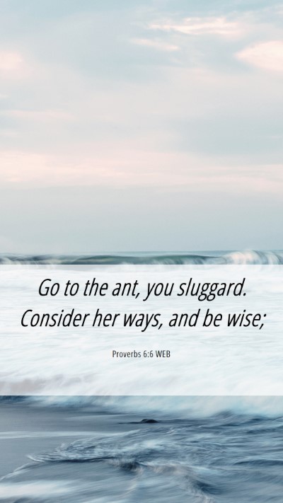 Picture 06 - Proverbs 6:6 WEB Mobile Phone Wallpaper - Go to the ant, you sluggard. Consider her ways, - Mobile Bible Verse Wallpaper