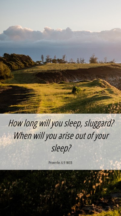 Picture 06 - Proverbs 6:9 WEB Mobile Phone Wallpaper - How long will you sleep, sluggard? When will you - Mobile Bible Verse Wallpaper