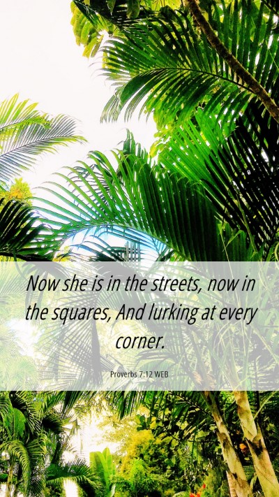 Picture 06 - Proverbs 7:12 WEB Mobile Phone Wallpaper - Now she is in the streets, now in the squares, - Mobile Bible Verse Wallpaper