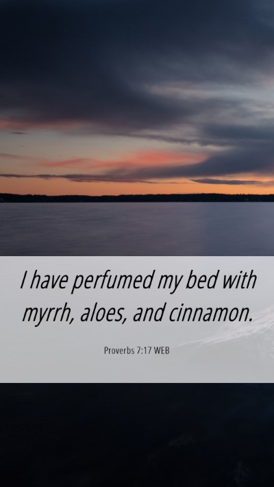 Picture 06 - Proverbs 7:17 WEB Mobile Phone Wallpaper - I have perfumed my bed with myrrh, aloes, and - Mobile Bible Verse Wallpaper