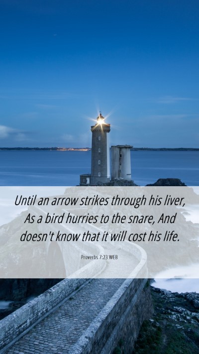 Picture 06 - Proverbs 7:23 WEB Mobile Phone Wallpaper - Until an arrow strikes through his liver, As a - Mobile Bible Verse Wallpaper