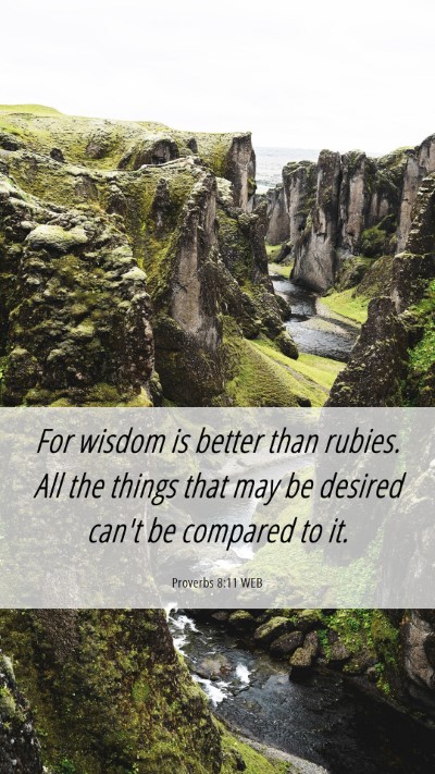 Picture 06 - Proverbs 8:11 WEB Mobile Phone Wallpaper - For wisdom is better than rubies. All the things - Mobile Bible Verse Wallpaper