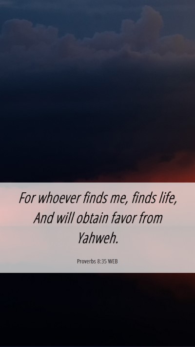 Picture 06 - Proverbs 8:35 WEB Mobile Phone Wallpaper - For whoever finds me, finds life, And will obtain - Mobile Bible Verse Wallpaper
