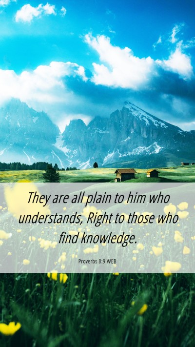 Picture 06 - Proverbs 8:9 WEB Mobile Phone Wallpaper - They are all plain to him who understands, Right - Mobile Bible Verse Wallpaper