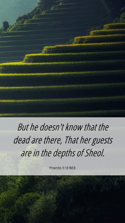 Picture 06 - Proverbs 9:18 WEB Mobile Phone Wallpaper - But he doesn't know that the dead are there, That - Mobile Bible Verse Wallpaper