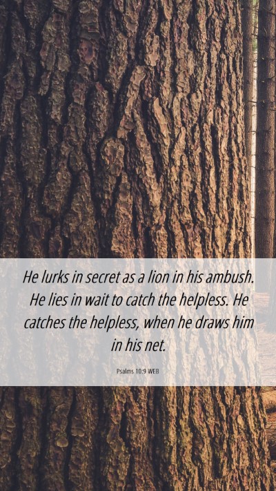 Picture 06 - Psalms 10:9 WEB Mobile Phone Wallpaper - He lurks in secret as a lion in his ambush. He - Mobile Bible Verse Wallpaper