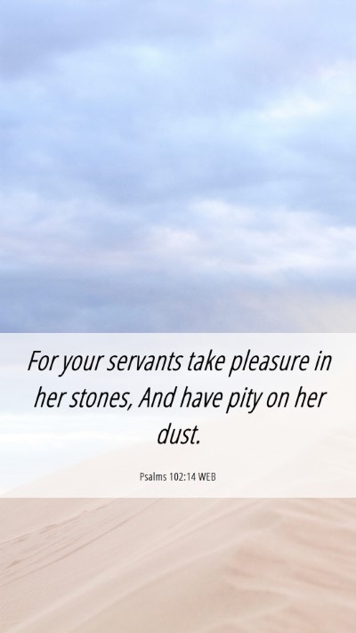 Picture 06 - Psalms 102:14 WEB Mobile Phone Wallpaper - For your servants take pleasure in her stones, - Mobile Bible Verse Wallpaper
