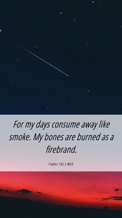 Picture 06 - Psalms 102:3 WEB Mobile Phone Wallpaper - For my days consume away like smoke. My bones are - Mobile Bible Verse Wallpaper