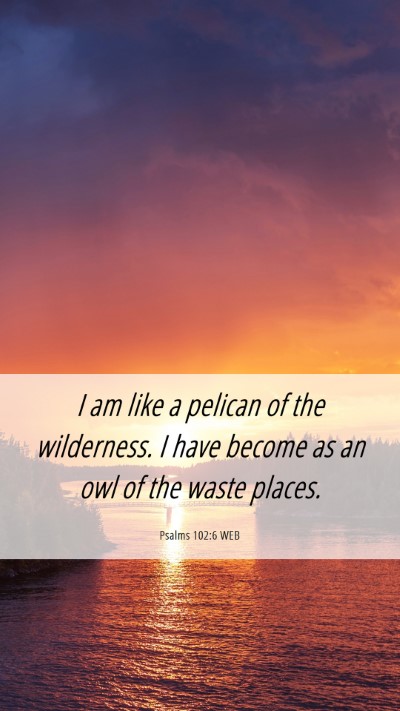 Picture 06 - Psalms 102:6 WEB Mobile Phone Wallpaper - I am like a pelican of the wilderness. I have - Mobile Bible Verse Wallpaper