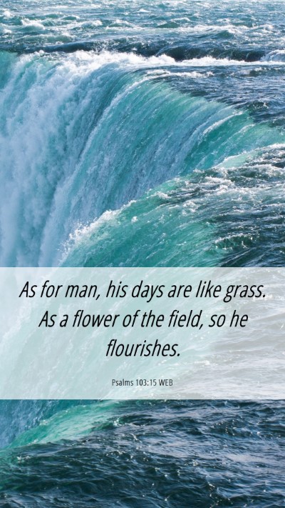 Picture 06 - Psalms 103:15 WEB Mobile Phone Wallpaper - As for man, his days are like grass. As a flower - Mobile Bible Verse Wallpaper