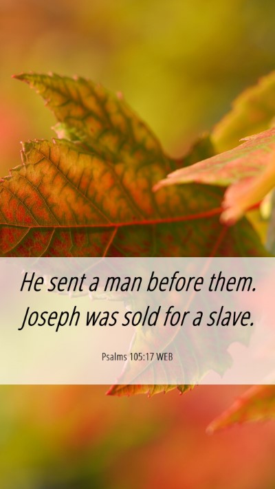 Picture 06 - Psalms 105:17 WEB Mobile Phone Wallpaper - He sent a man before them. Joseph was sold for a - Mobile Bible Verse Wallpaper
