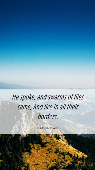 Picture 06 - Psalms 105:31 WEB Mobile Phone Wallpaper - He spoke, and swarms of flies came, And lice in - Mobile Bible Verse Wallpaper
