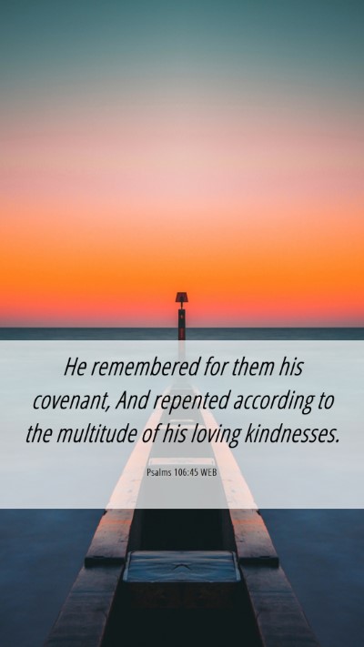 Picture 06 - Psalms 106:45 WEB Mobile Phone Wallpaper - He remembered for them his covenant, And repented - Mobile Bible Verse Wallpaper